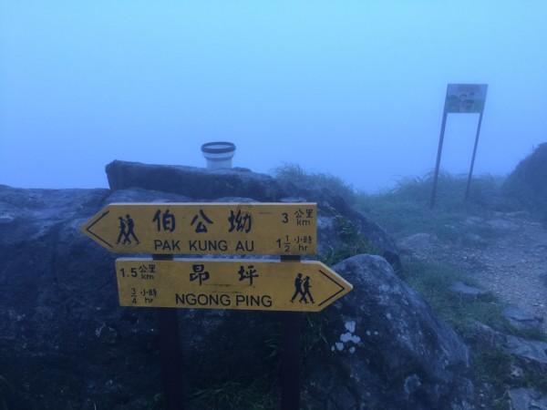 动漫明星竞速赛